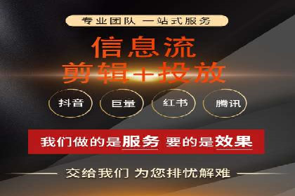SEM服务公司成功案例解读
